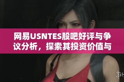 网易USNTES股吧好评与争议分析，探索其投资价值与前景
