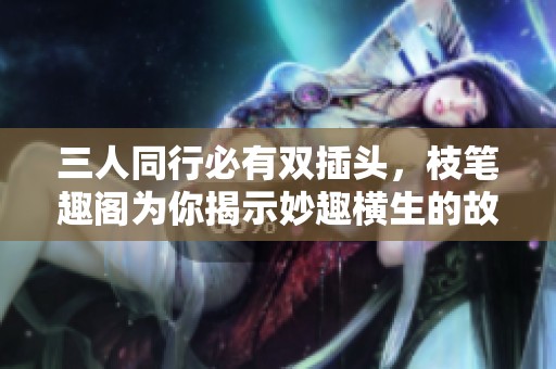 三人同行必有双插头，枝笔趣阁为你揭示妙趣横生的故事