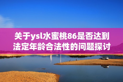 关于ysl水蜜桃86是否达到法定年龄合法性的问题探讨