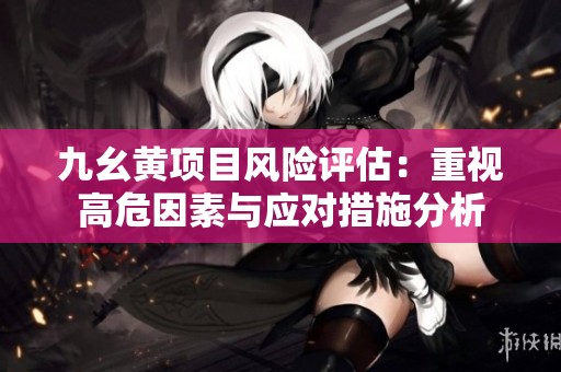 九幺黄项目风险评估：重视高危因素与应对措施分析
