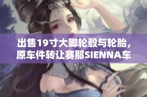 出售19寸大脚轮毂与轮胎，原车件转让赛那SIENNA车友
