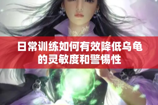 日常训练如何有效降低乌龟的灵敏度和警惕性