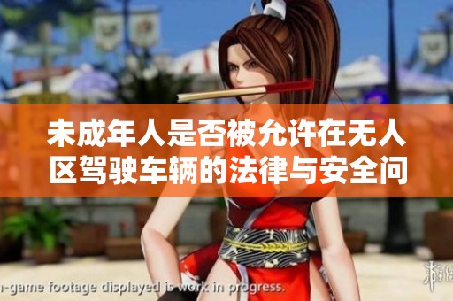 未成年人是否被允许在无人区驾驶车辆的法律与安全问题探讨