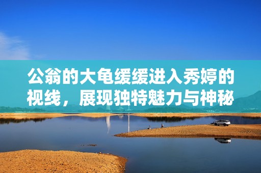 公翁的大龟缓缓进入秀婷的视线，展现独特魅力与神秘感
