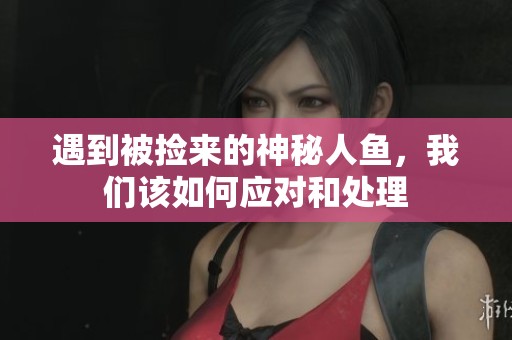 遇到被捡来的神秘人鱼，我们该如何应对和处理