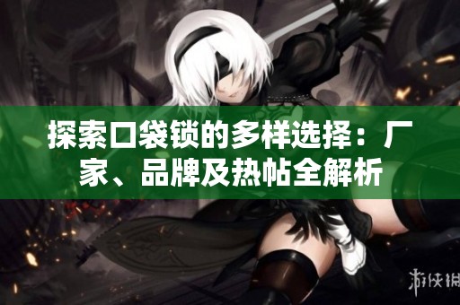 探索口袋锁的多样选择：厂家、品牌及热帖全解析