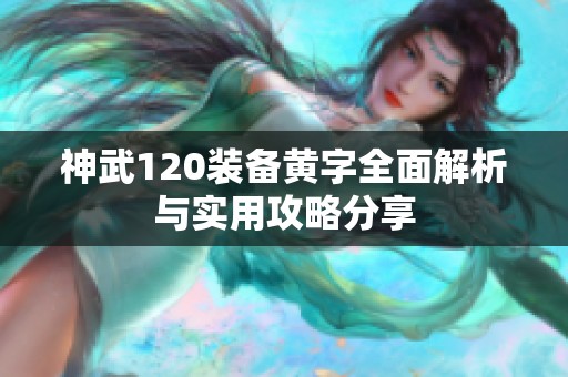 神武120装备黄字全面解析与实用攻略分享