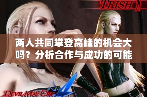 两人共同攀登高峰的机会大吗？分析合作与成功的可能性