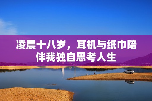 凌晨十八岁，耳机与纸巾陪伴我独自思考人生
