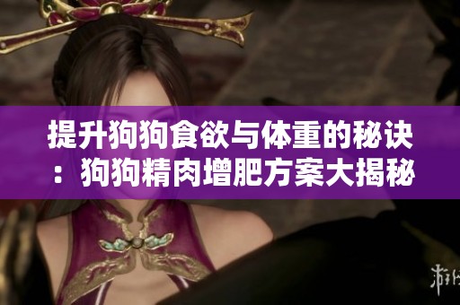 提升狗狗食欲与体重的秘诀：狗狗精肉增肥方案大揭秘