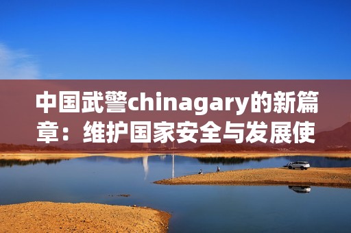 中国武警chinagary的新篇章：维护国家安全与发展使命