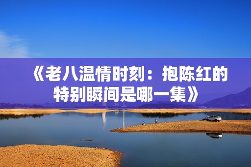 《老八温情时刻：抱陈红的特别瞬间是哪一集》