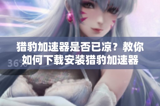 猎豹加速器是否已凉？教你如何下载安装猎豹加速器