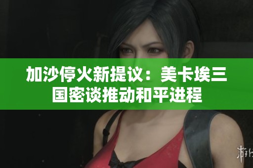 加沙停火新提议：美卡埃三国密谈推动和平进程
