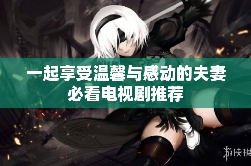 一起享受温馨与感动的夫妻必看电视剧推荐