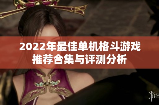 2022年最佳单机格斗游戏推荐合集与评测分析