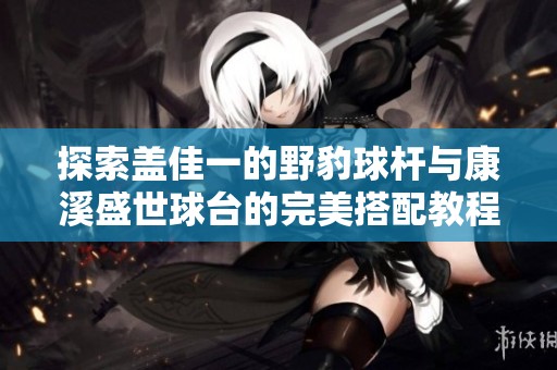 探索盖佳一的野豹球杆与康溪盛世球台的完美搭配教程