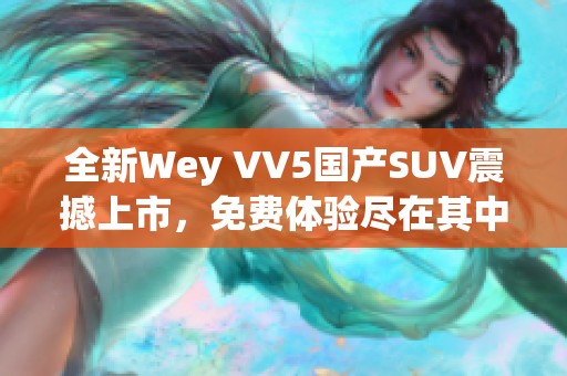 全新Wey VV5国产SUV震撼上市，免费体验尽在其中