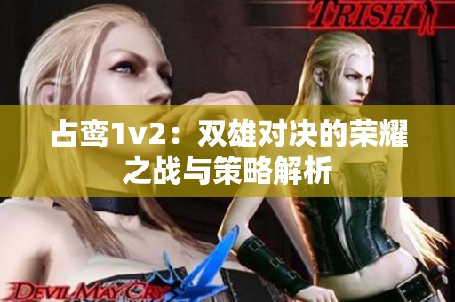 占鸾1v2：双雄对决的荣耀之战与策略解析