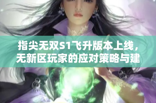 指尖无双S1飞升版本上线，无新区玩家的应对策略与建议