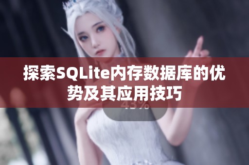 探索SQLite内存数据库的优势及其应用技巧