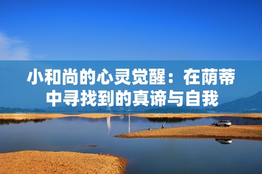 小和尚的心灵觉醒：在荫蒂中寻找到的真谛与自我