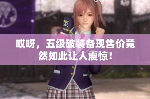 哎呀，五级破装备现售价竟然如此让人震惊！