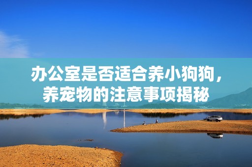 办公室是否适合养小狗狗，养宠物的注意事项揭秘