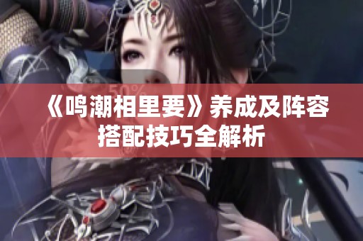 《鸣潮相里要》养成及阵容搭配技巧全解析