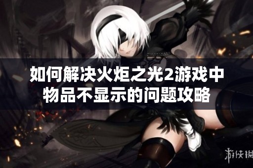 如何解决火炬之光2游戏中物品不显示的问题攻略