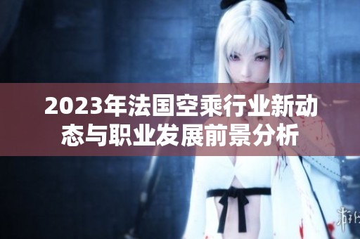 2023年法国空乘行业新动态与职业发展前景分析