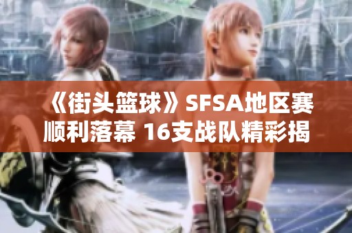 《街头篮球》SFSA地区赛顺利落幕 16支战队精彩揭晓