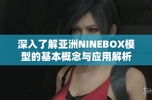 深入了解亚洲NINEBOX模型的基本概念与应用解析