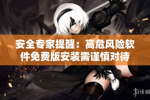 安全专家提醒：高危风险软件免费版安装需谨慎对待