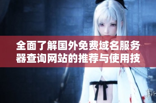全面了解国外免费域名服务器查询网站的推荐与使用技巧