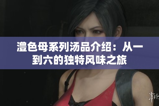 澧色母系列汤品介绍：从一到六的独特风味之旅