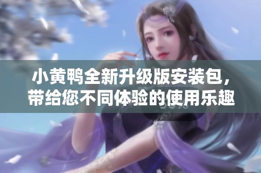 小黄鸭全新升级版安装包，带给您不同体验的使用乐趣