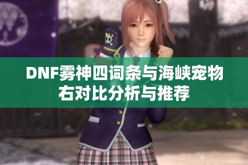 DNF雾神四词条与海峡宠物右对比分析与推荐