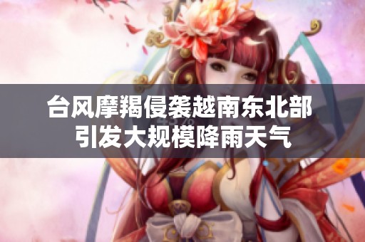 台风摩羯侵袭越南东北部 引发大规模降雨天气