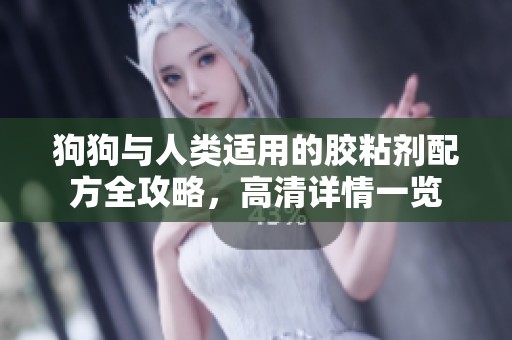 狗狗与人类适用的胶粘剂配方全攻略，高清详情一览