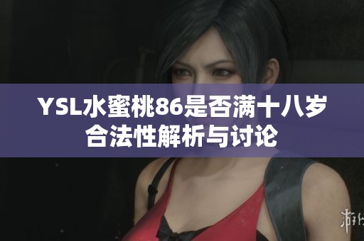 YSL水蜜桃86是否满十八岁合法性解析与讨论