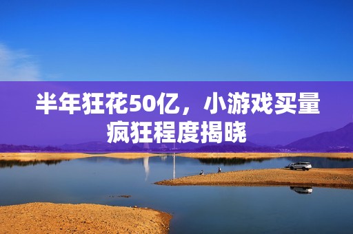 半年狂花50亿，小游戏买量疯狂程度揭晓