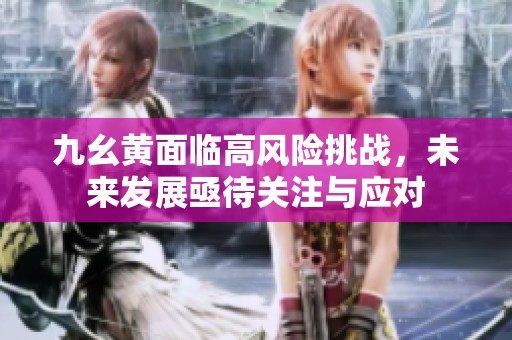 九幺黄面临高风险挑战，未来发展亟待关注与应对