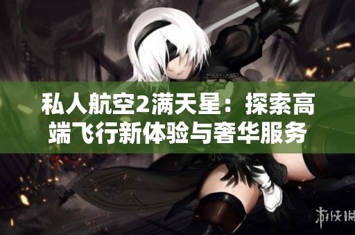 私人航空2满天星：探索高端飞行新体验与奢华服务