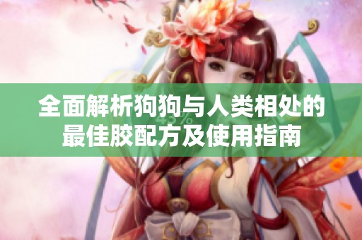 全面解析狗狗与人类相处的最佳胶配方及使用指南