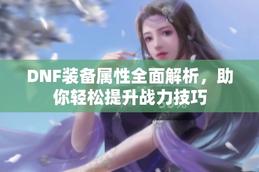 DNF装备属性全面解析，助你轻松提升战力技巧