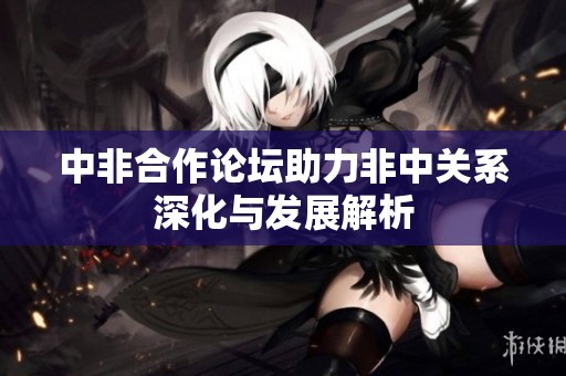 中非合作论坛助力非中关系深化与发展解析