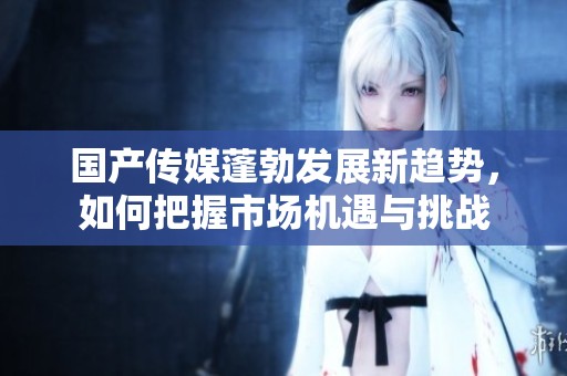 国产传媒蓬勃发展新趋势，如何把握市场机遇与挑战
