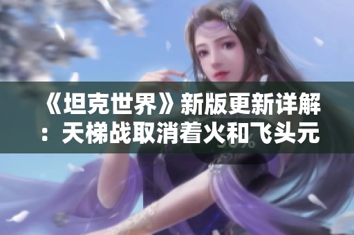 《坦克世界》新版更新详解：天梯战取消着火和飞头元素!
