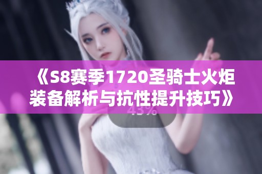 《S8赛季1720圣骑士火炬装备解析与抗性提升技巧》